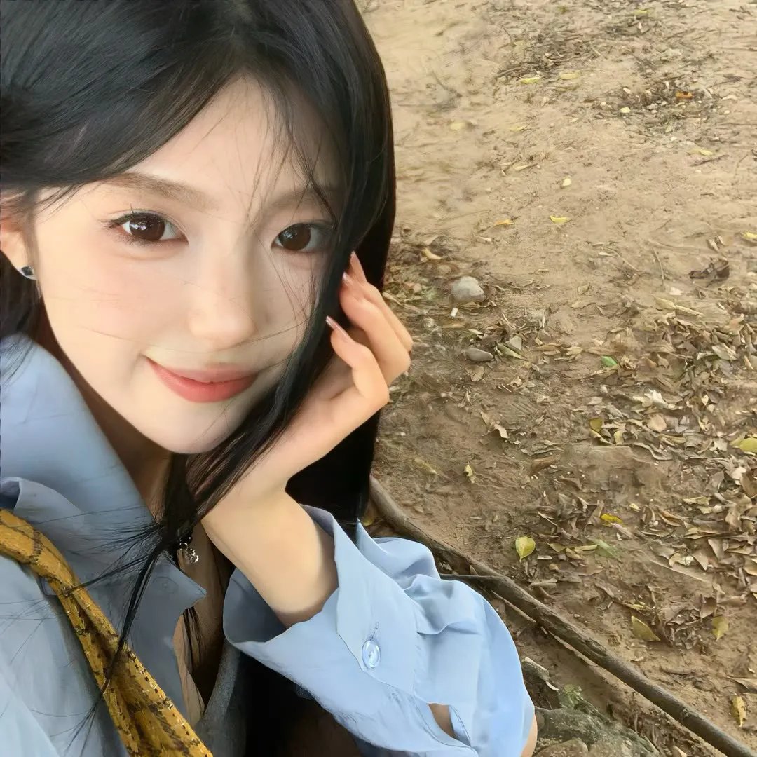 网中的太阳
