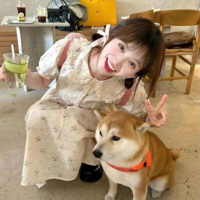 所有的猫都是灰色